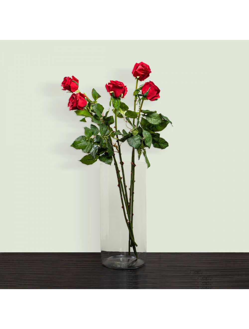 Red Rose Stem
